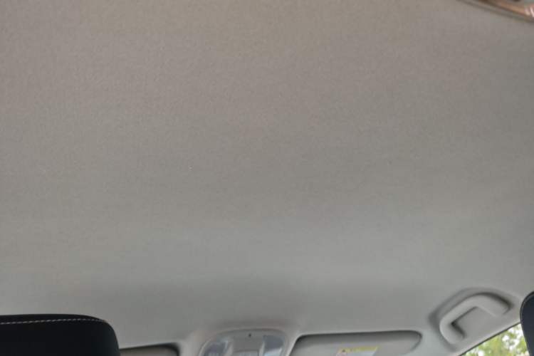 Used BYD Qin 2019 1.5L Automatic Luxury Model Headliner