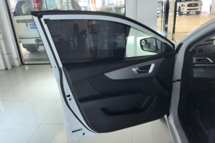 Used BYD Qin 2019 1.5L Automatic Prestige Model Left Front Door Interior