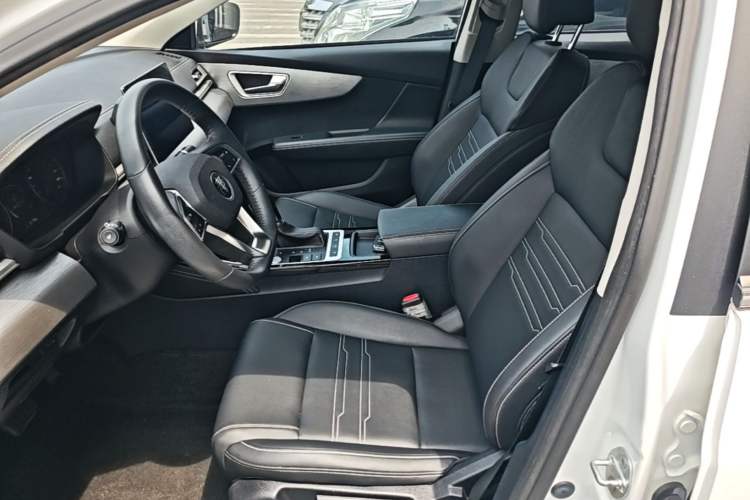 Used BYD Qin 2019 1.5L Automatic Prestige Model Left Front Seat
