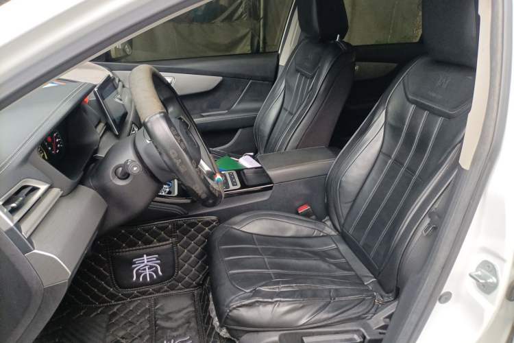 Used BYD Qin 2019 1.5L Automatic Luxury Model Left Front Seat