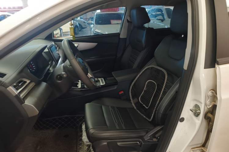 Used BYD Qin 2019 1.5L Automatic Luxury Model Left Front Seat