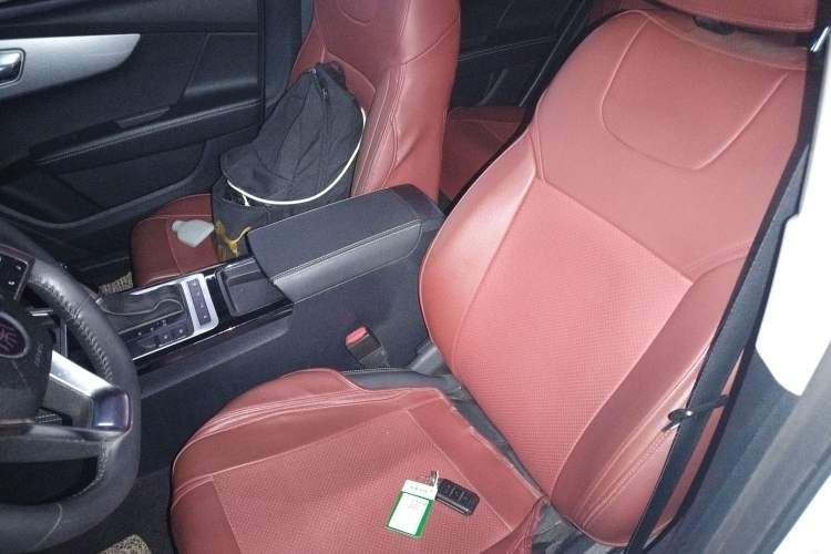 Used BYD Qin 2019 1.5L Automatic Prestige Model Left Front Seat