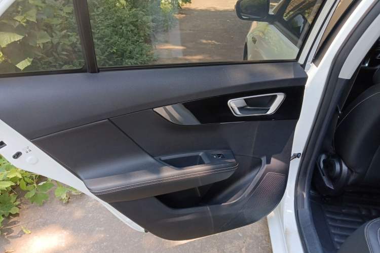 Used BYD Qin 2019 1.5L Manual Luxury Version Left Rear Door Interior