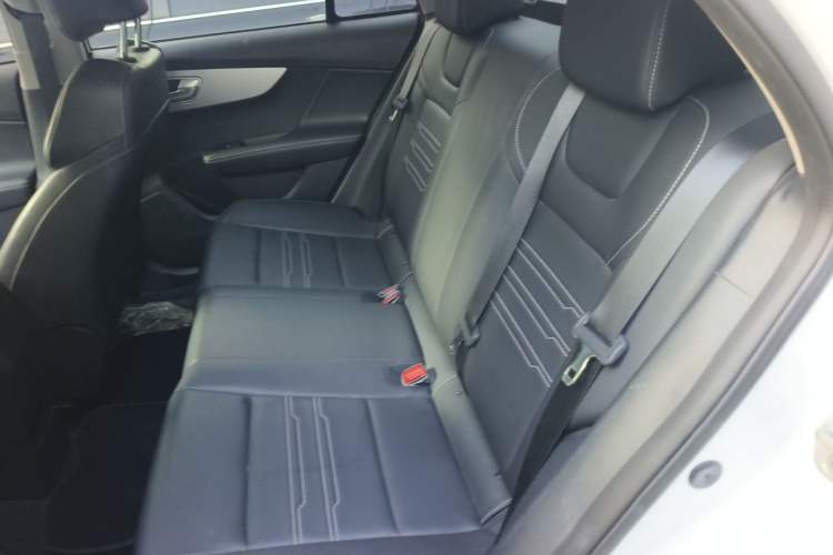 Used BYD Qin 2019 1.5L Automatic Luxury Model Left Rear Seat