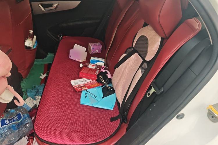Used BYD Qin 2019 1.5L Automatic Luxury Model Left Rear Seat