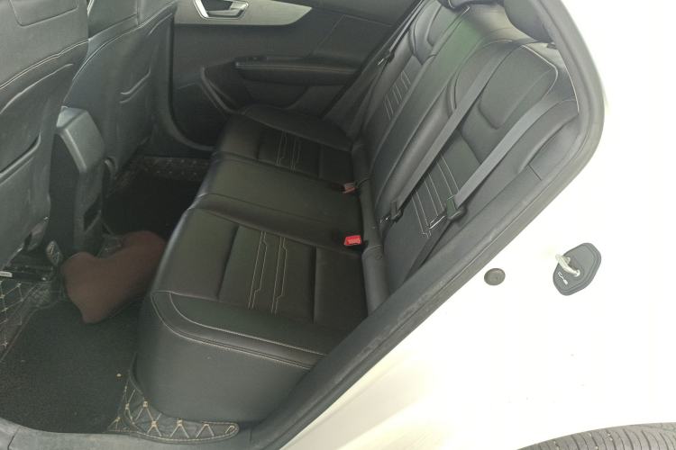 Used BYD Qin 2019 1.5L Automatic Luxury Model Left Rear Seat