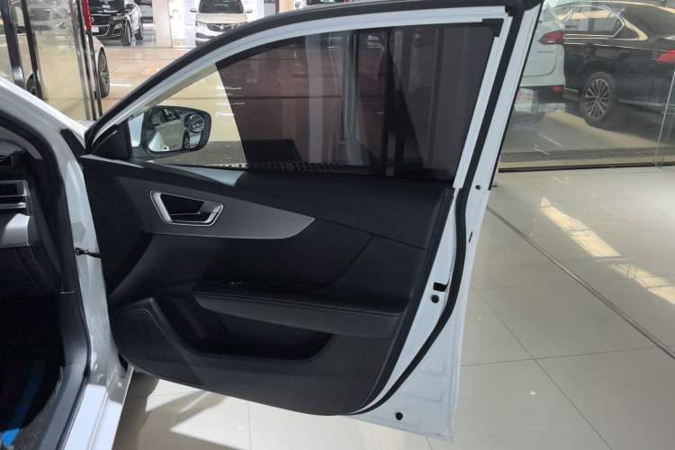 Used BYD Qin 2019 1.5L Automatic Prestige Model Right Front Door Interior