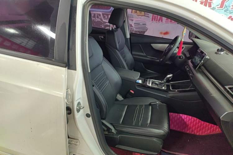 Used BYD Qin 2019 1.5L Automatic Luxury Model Right Front Seat