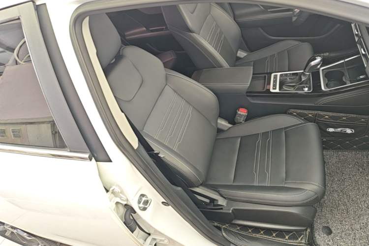 Used BYD Qin 2019 1.5L Automatic Prestige Model Right Front Seat