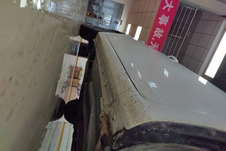 Used BYD Qin 2019 1.5L Automatic Luxury Model Right Side Sill