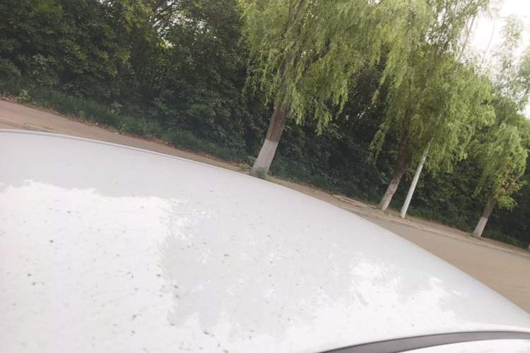 Used BYD Qin 2019 1.5L Automatic Luxury Model Roof