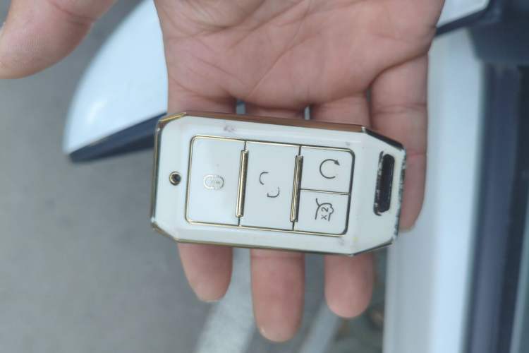 Used BYD Qin 2019 1.5L Automatic Luxury Model Vehicle Key