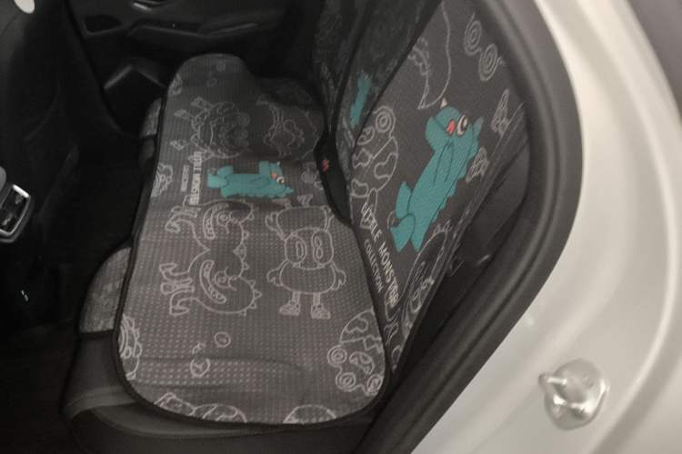 Used BYD Qin L 2024 DM-i 80KM Leading Model Left Rear Seat
