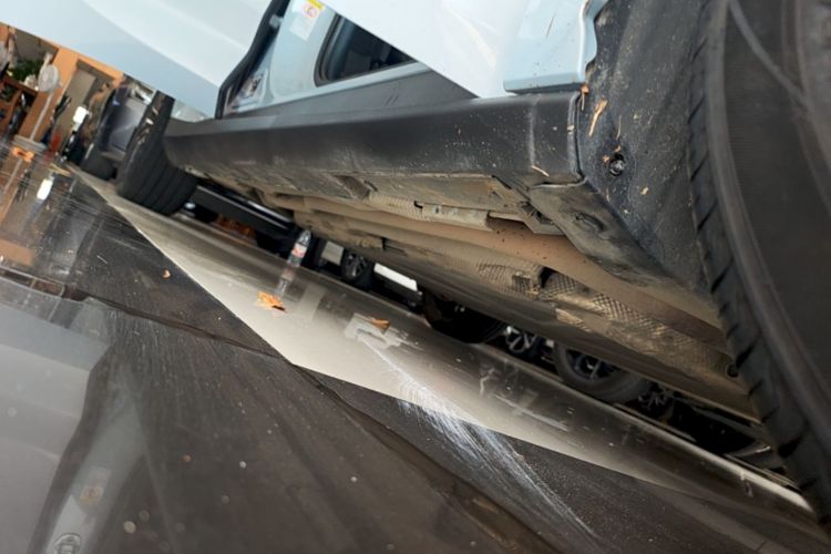 Used BYD Qin L 2024 DM-i 120KM Excellence Model Right Side Sill