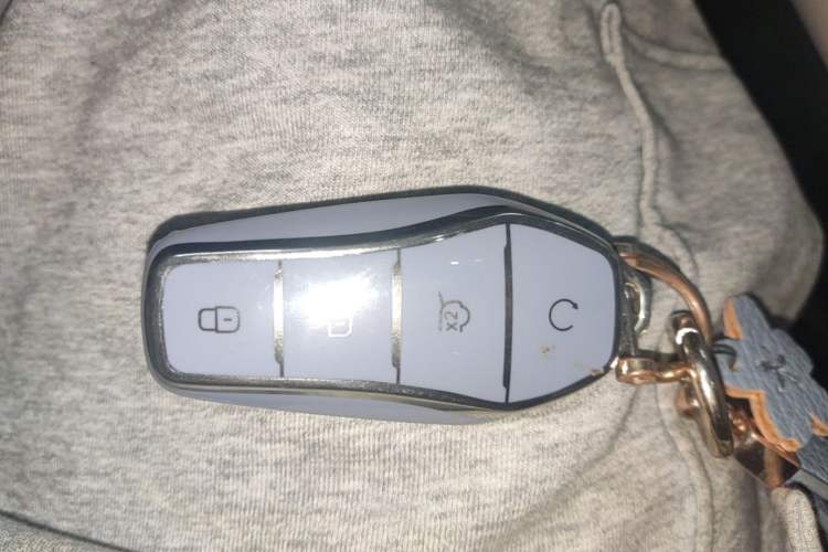 Used BYD Qin L 2024 DM-i 80KM Leading Model Vehicle Key