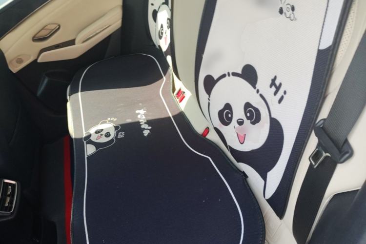 Used BYD Qin L 2024 DM-i 80KM Leading Model Left Rear Seat