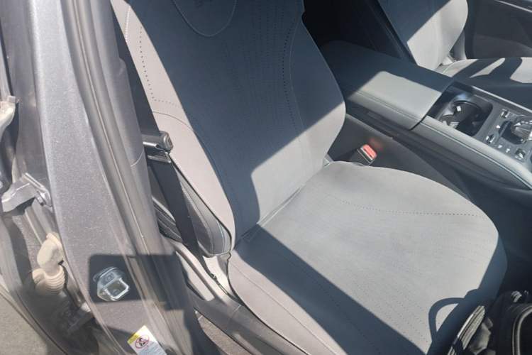 Used BYD Qin L 2024 DM-i 80KM Leading Model Right Front Seat