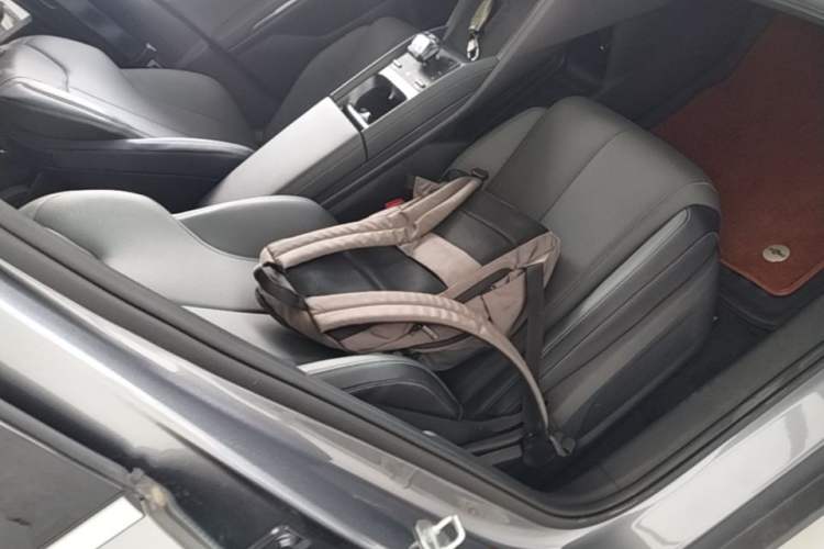 Used BYD Qin L 2024 DM-i 80KM Leading Model Right Front Seat