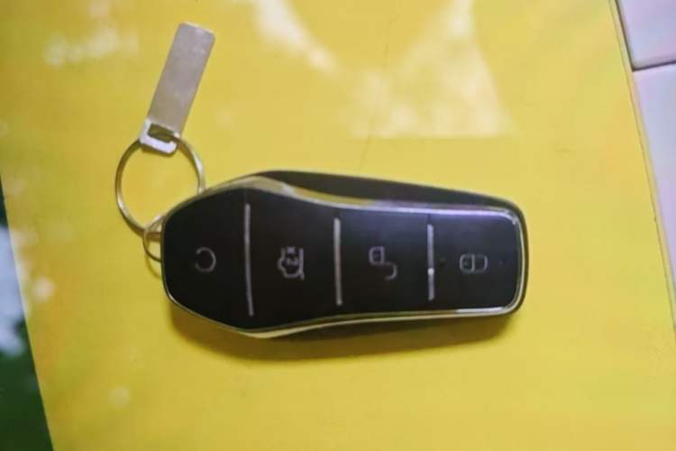 Used BYD Qin L 2024 DM-i 80KM Leading Model Vehicle Key