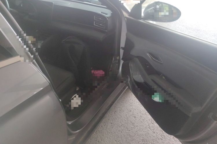 Used BYD Qin L 2024 DM-i 120KM Beyond Model Left Front Seat