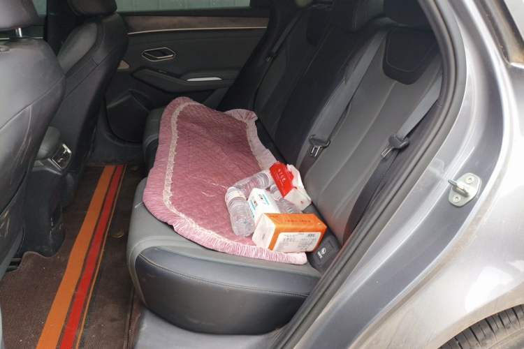 Used BYD Qin L 2024 DM-i 120KM Leading Model Left Rear Seat