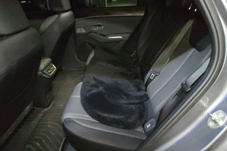 Used BYD Qin L 2024 DM-i 120KM Beyond Model Left Rear Seat