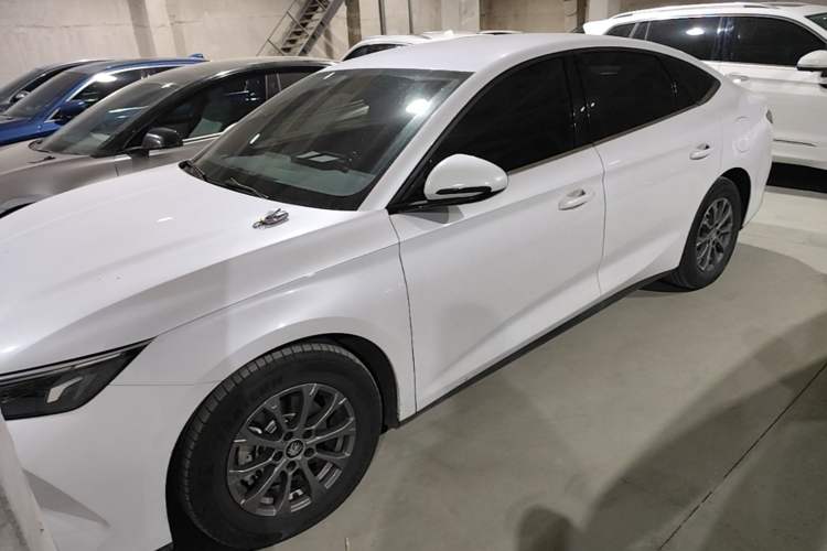 BYD Qin L 2024 DM-i 80KM Leading Model