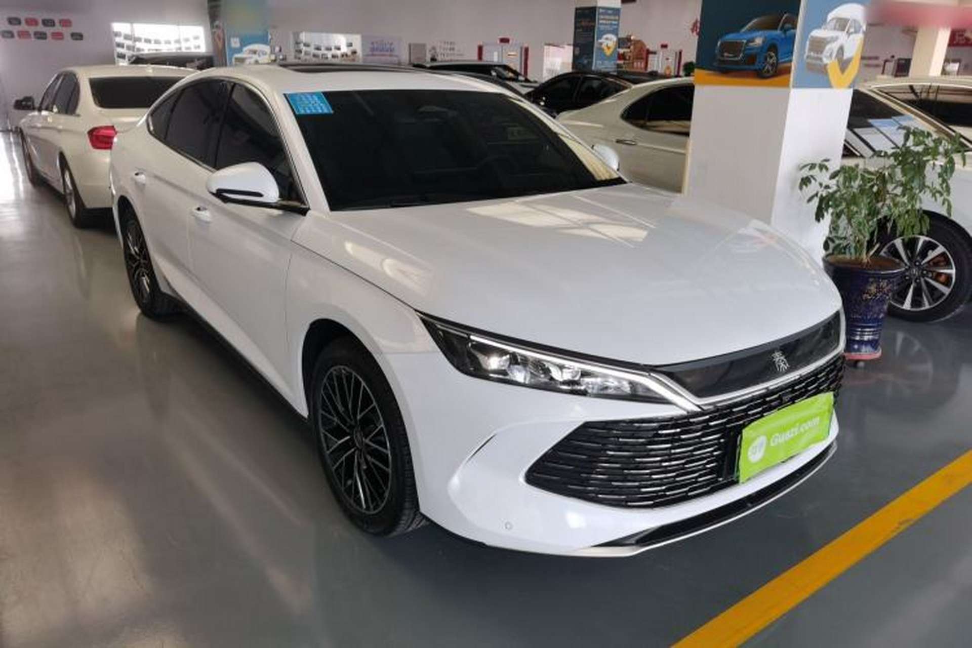 Used BYD Qin L 2024 DM-i 120KM Excellence Model Exterior 1