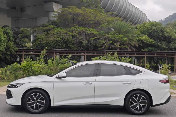 Used BYD Qin L 2024 DM-i 80KM Leading Model Exterior 4