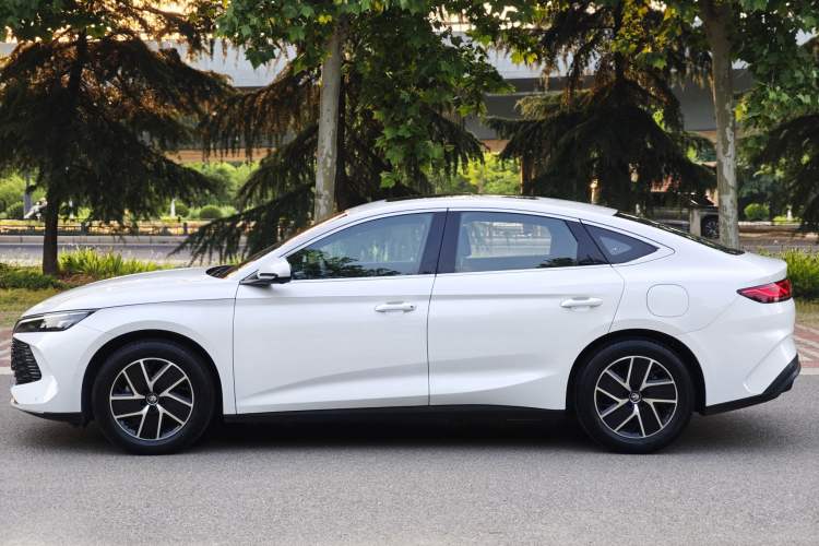 Used BYD Qin L 2024 DM-i 120KM Beyond Model Exterior 6
