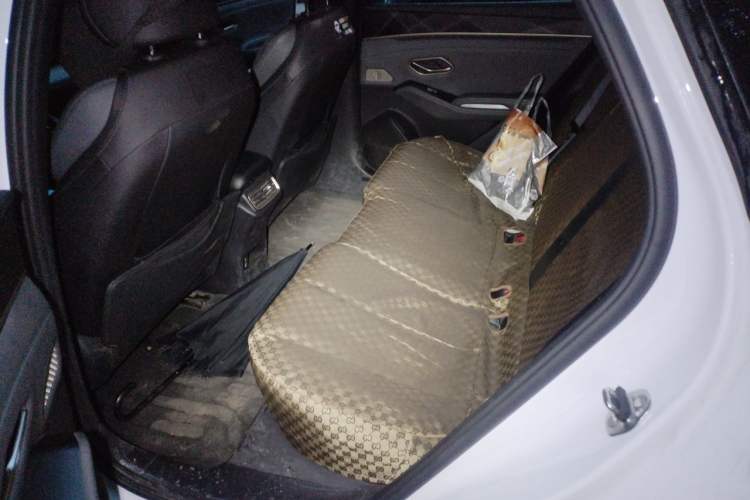 Used BYD Qin L 2024 DM-i 120KM Leading Model Left Rear Seat