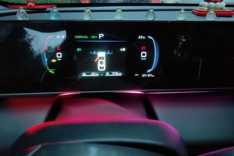 Used BYD Qin L 2024 DM-i 80KM Leading Model Odometer Close Up