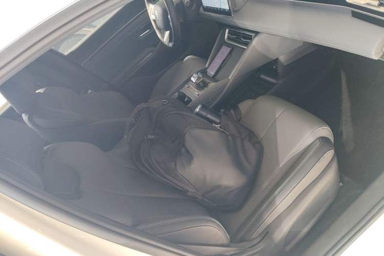 Used BYD Qin L 2024 DM-i 80KM Leading Model Right Front Seat