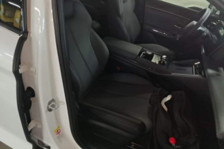 Used BYD Qin L 2024 DM-i 80KM Leading Model Right Front Seat