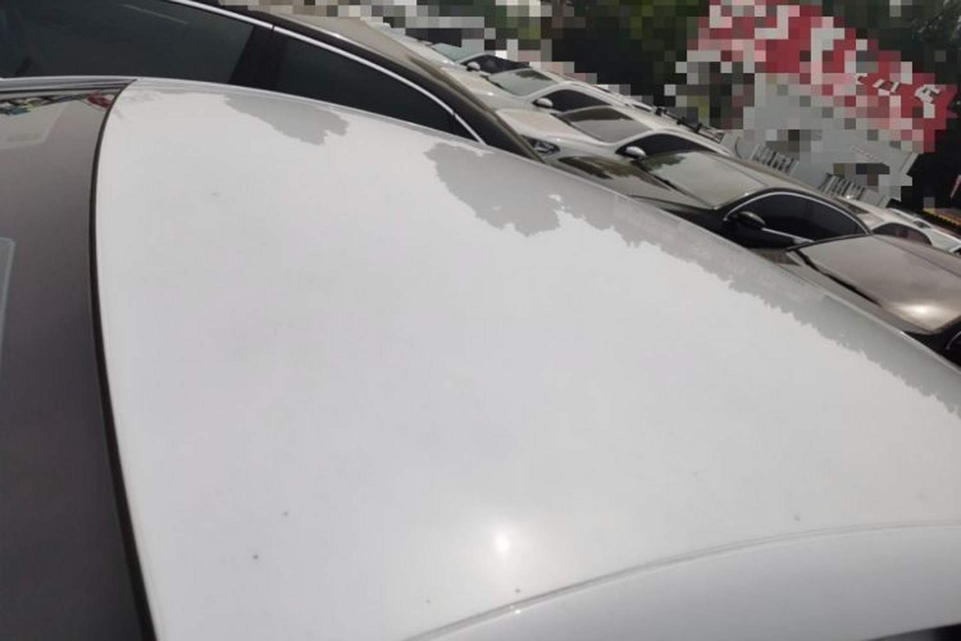 Used BYD Qin L 2024 DM-i 80KM Leading Model Roof