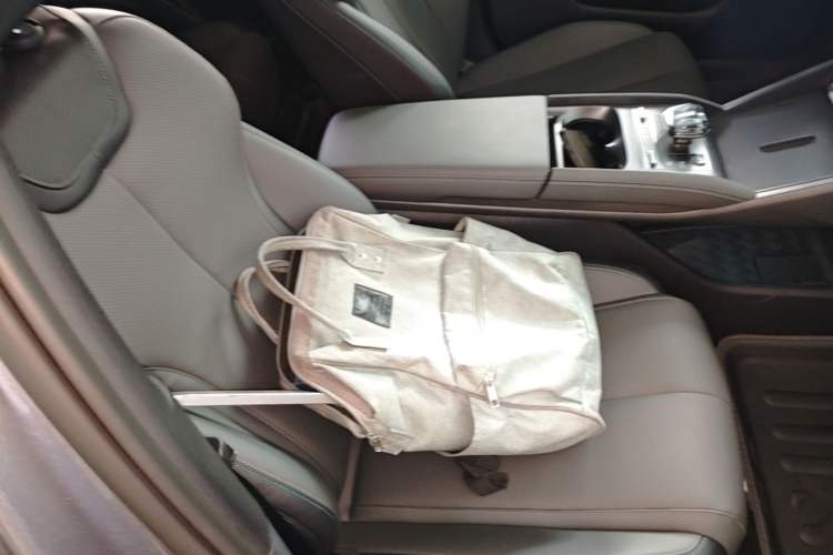Used BYD Qin L 2025 DM-i Smart Drive 80KM Leading Model Right Front Seat