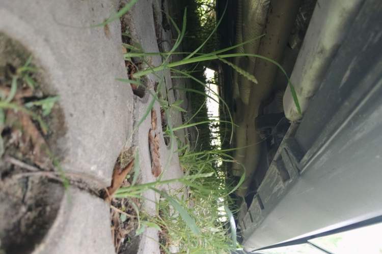 Used BYD Qin L 2025 DM-i Smart Drive 80KM Leading Model Chassis Rear Right