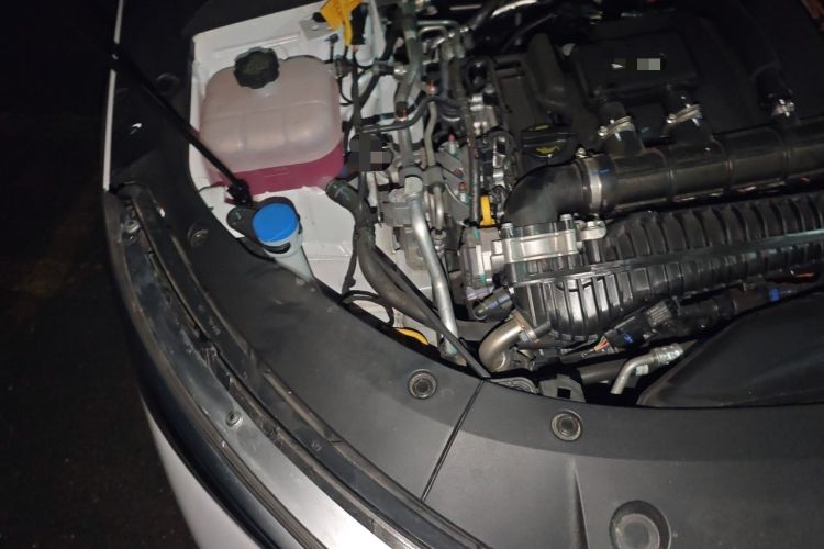 Used BYD Qin L 2025 DM-i Smart Drive 80KM Leading Model Engine Bay Right