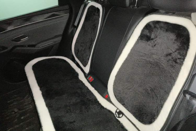 Used BYD Qin L 2025 DM-i Smart Drive 80KM Leading Model Left Rear Seat