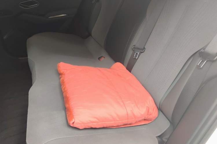 Used BYD Qin L 2025 DM-i Smart Drive 80KM Leading Model Left Rear Seat