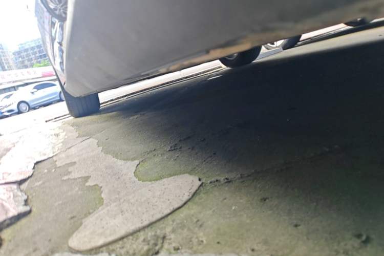Used BYD Qin L 2025 EV 545KM Beyond Version Left Side Sill
