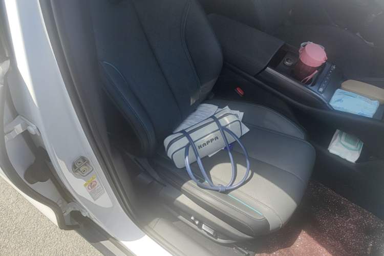 Used BYD Qin L 2025 EV 545KM Excellence Edition Right Front Seat