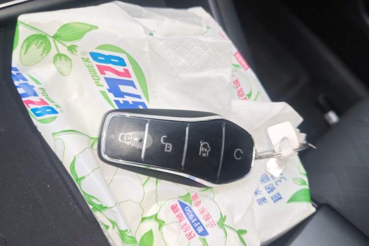 Used BYD Qin L 2025 EV 545KM Cloud Suspension Edition Vehicle Key