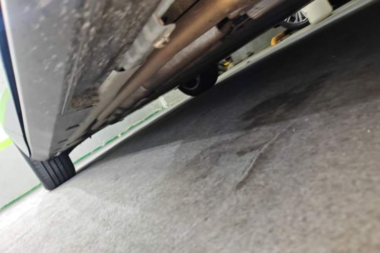 Used BYD Qin L 2026 Model DM-i 210KM Cloud Suspension Version Right Side Sill