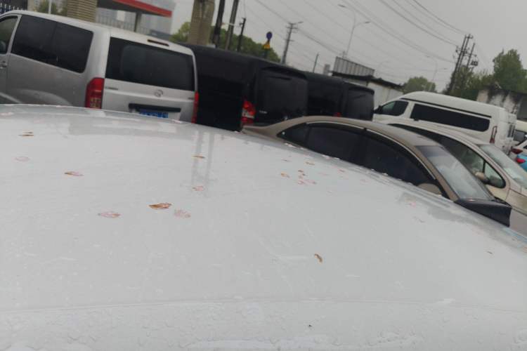 Used BYD Qin L 2026 DM-i 128KM Leading Edition Roof