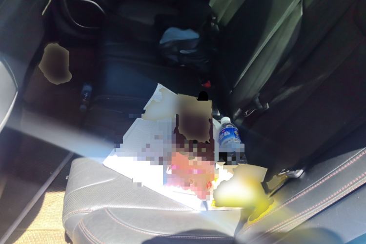 Used BYD Qin New Energy 2014 1.5T Flagship Model Left Rear Seat