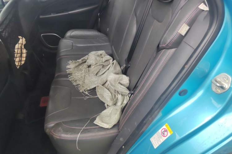 Used BYD Qin New Energy 2014 1.5T Flagship Model Left Rear Seat