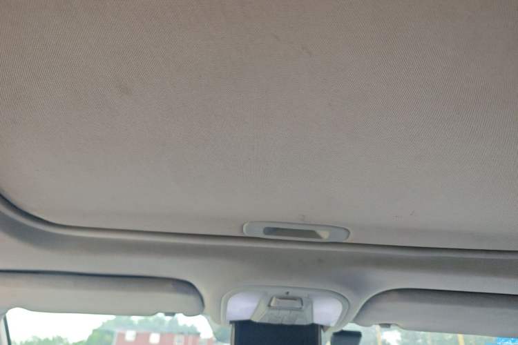 Used BYD Qin New Energy 2014 1.5T Flagship Model Headliner