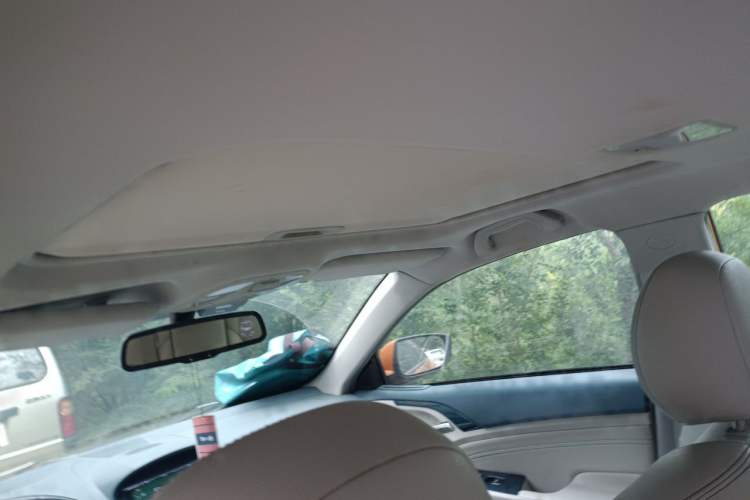Used BYD Qin New Energy 2014 1.5T Flagship Model Headliner