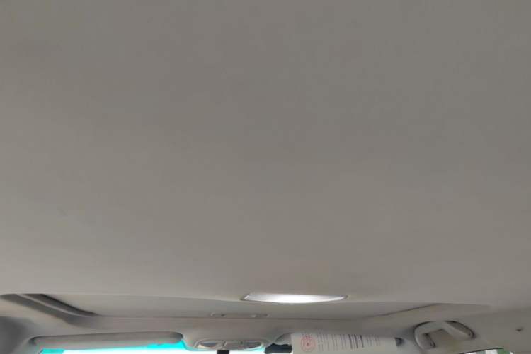 Used BYD Qin New Energy 2015 1.5T Dual-Crown Flagship Plus Edition Headliner